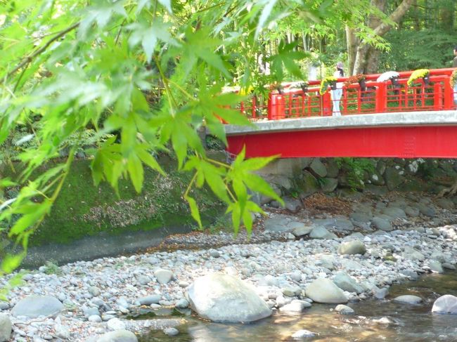 堂ヶ島を発ち、連日の暴飲暴食の後でさっぱりおそばでも食べたい。修善寺は今まで行ったことがないのでお昼のついでにちょっと寄ってみようか、ということになりました。<br /><br />ようこそ!修善寺へ<br />http://www.shuzenji.jp/<br />