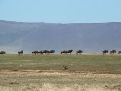 Ngorongoro Conservation Area