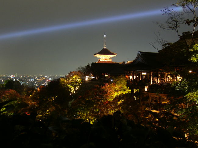 11/18、19の週末に久しぶりの秋の京都へと行って参りました。<br />これから京都へ行かれる方へ少しでも参考になればと思います。<br />ただ、暖冬の影響か 紅葉は3分〜5分程度でした。今年は春の桜、秋の紅葉と2回も京都へ行くことになるとは。 いつも思うのは特別拝観とか 銘打って拝観料の値上げ、他にも京都は物価が高いな〜 といつも思うんですが、これを読んで下さった、皆さんはどうお思いでしょうか？　<br /><br />