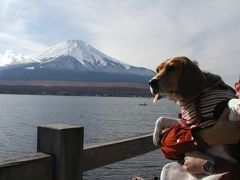 富士吉田でうどん＆日本一の山、そしてアウトレット