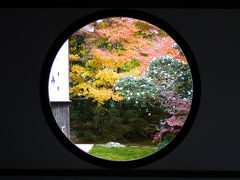 2006年秋 京都の紅葉