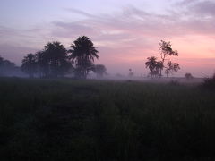 Casamance-Affniam & Djilapao no1湿地帯に在る村