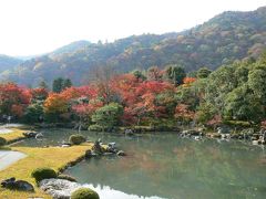 京都の紅葉がピークを迎えたよ　嵐山、天龍寺へ（初めて見た京都の紅葉?）　