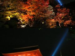 清水寺ライトアップの特別拝観　清水の舞台でおしくらまんじゅう（初めて見た京都の紅葉③）　