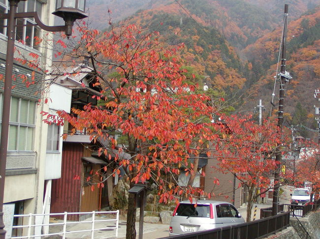 信州松本から、平湯温泉を経由し、廃止間近の神岡鉄道に乗って、富山へと抜ける晩秋の旅。<br />紅葉はもう終わりかと思っていたが、思いのほかきれいで、紅葉狩りも楽しめました。