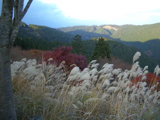 紅葉を観に比叡山ドライブウェイへ<br /><br />遥かに琵琶湖を見下ろす絶景は、忘れられません