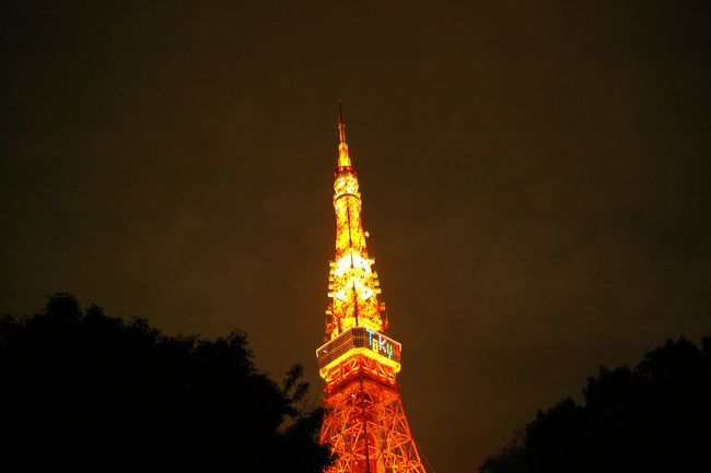 昨日の新聞に、第二東京タワーの完成予想図が出ていました。昭和３３年に建てられたこのタワーまもなくお役ごめんになることを考えるとさびしい思いがします。<br />私よりもひとつ年下の48歳の東京タワーに敬意を表し、夕方思い立って東京タワーを眺めに出かけてきました。<br />やっぱ我々の世代の東京タワーはこれですね！<br />