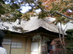 ★今回も私に代わって・・・千代？の佐賀県は「九年庵～大興善寺」・・・旅。