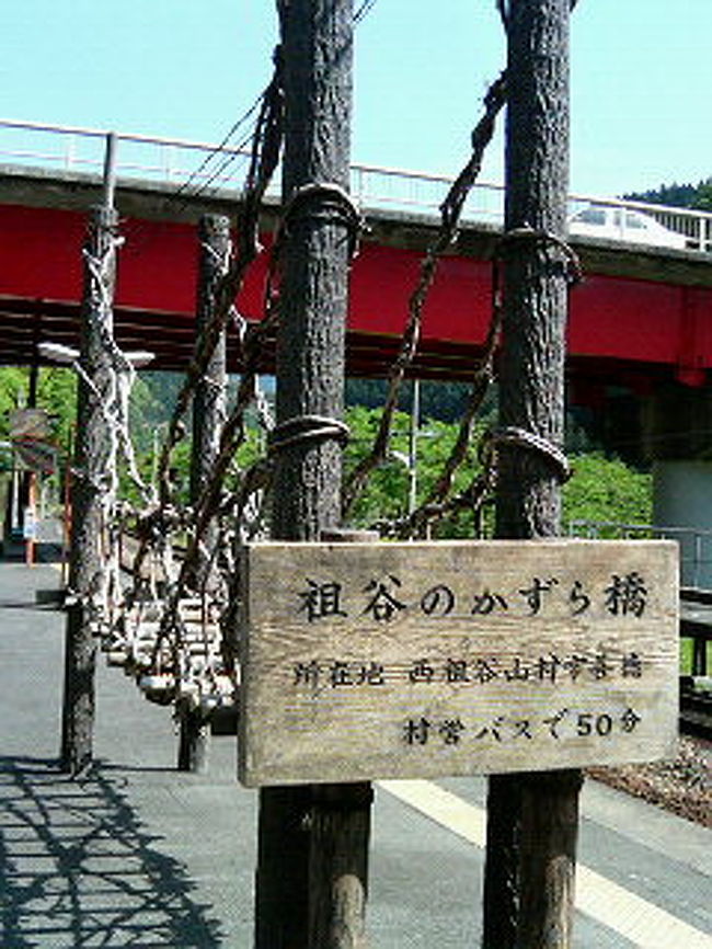 最終日。<br />３日間なんてホンマにあっという間やなぁ。 <br />今日は大歩危は吉野川にてラフティング。 <br />その前にせっかくやから、かずら橋を渡ってみることに。<br />昨日と違って２時間待ちなんてことはなかったし。 <br />思ってるより揺れるもんで、下がスカスカで怖い・・・。<br />必死にかずらにしがみつきながら渡りきる。 <br />便所スリッパで渡るオッサンよ。すごいよ、あんた。 <br />なかなかのスリルを楽しんで、ラフティング場所までバスで向かう。 <br />吉野川、ものすご水キレイ！！四万十川よりキレイかも？！ <br /><br />ウエットスーツを着て、ヘルメットかぶって、いざラフティング開始！ やった！一番男前のガイドさん☆ <br />一緒に激流に挑むのはキャンピングカーで四国をまわってるファミリー。 子供は小学生。きっと私より根性あると見た。 <br />６人＋ガイドさんで川に突入。むっちゃ水冷たい！足凍る。 <br /><br />ラフティングって激流の中をずっと進むもんやと思ってたけど、 激流ポイントはいくつかあって、<br />それ以外の場所はものすごい穏やかな流れでめっちゃ気持ちいい。<br />みんなでパドルを漕ぐタイミングを合わせて、冒険気分完璧。第一激流ポイント。<br />「うりゃー！怖い！なにっ！なんなんぁっ！」叫び続けて終了。怖いと言いつつめっちゃオモロイやんか。 <br />すでにビシャビシャ。第２ポイントもそれなりに下って、<br />一息つくか！くらいの余裕かましてたら巨大岩に激突！！衝撃で放り出される。 ちょっとぉ死ぬ・・・。たぶん死ぬ・・・。 <br />とにかく足を下げたらアカンって聞かされてたから、 必死に足上げてもがいてたらお尻を強打。 <br />男前ガイドに助けてもらう。リングの貞子並に大変な姿になってた・・・。 <br />でもオモロイ！その後も激流を下り続けて、立ったまま下ったり、 水はめちゃくちゃ冷たいけどがっちり泳いだり、<br />最高楽しかった。 大自然満喫っす！ <br />それから駅まで送っていただく事に。ガイドを始めて２ヶ月くらいの女性。 <br />ガイドになりたくて自分でトレーニングして認められたそう。カッコ良い！ そこらにいる男よりめっちゃ頼りがいあるぞ。<br />自然が大好きで、もっと素晴らしいガイドを目指して日々勉強中だそう。<br />心の底から応援します。さて、あとは帰るのみかぁ。また電車やなぁ。 <br /><br />出発まで時間あったから「歩危マート」なるスーパーで買い物して お腹を満たしながらブラブラ待つ。 <br />ここでまたしても北摂在住のおばちゃんと出会う。 <br />友達が住んでる高槻の方。家も近所だそう。なんじゃ？ なんでこんな山奥で近所の人とばっかり出くわすんやろ。 <br />北摂人は旅好きかな？？ しかもこのおばちゃん２人組、ちっちゃいちっちゃいリュックひとつのみ。 <br />パンツしか入ってないでしょう！一週間近く旅してるって言うのに。 <br />すごいな。自分も荷物は最小限にしたつもりやったけど見習わなければ。 <br /><br />旅ってなんでこうも楽しいんやろ。 <br />景色は素晴らしくて、ごはんもおいしくて、お土産にはテンション上がるけど覚えてるのって「人」なんだなぁ。 <br />いっろんな人が「旅は出会いだよ。」みたいな事言ってるけど、まさしくそう。これしかないくらいの勢いで。 <br />だからどんな辺鄙な場所に行ったって、そこに人がいれば旅はどうにでも楽しくなるわけよ。<br />「こんにちわ」って言い合うだけで、なんとも嬉しくて、最高やわ。とにかく。だから、また旅しよう。 <br />訳分からん農道とか歩き倒そう。電車も余裕で２時間とか待っちゃおう。すれ違い様に「こんにちは」って言おう。 <br />四国、ありがとう。次は讃岐うどんにしまなみ街道に、忙しいよーこりゃ。