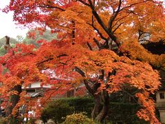 京都、奈良の紅葉とおいしいもの（嵐山編）　