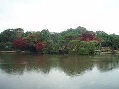 六義園の紅葉