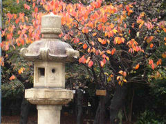 東京・紅葉の旅=靖国神社編=