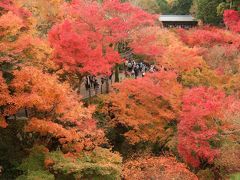 京都、奈良の紅葉とおいしいもの（大原・洛東編）　