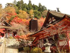 京都、奈良の紅葉とおいしいもの（奈良編）　