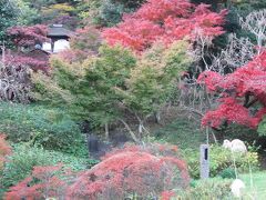 本牧三渓園１００周年の秋・リハビリ散歩