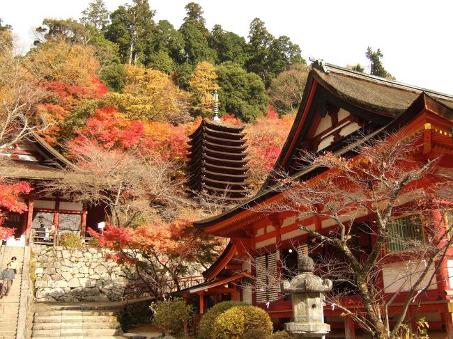 旅行も３日目。今日は奈良、談山神社から室生寺へ。