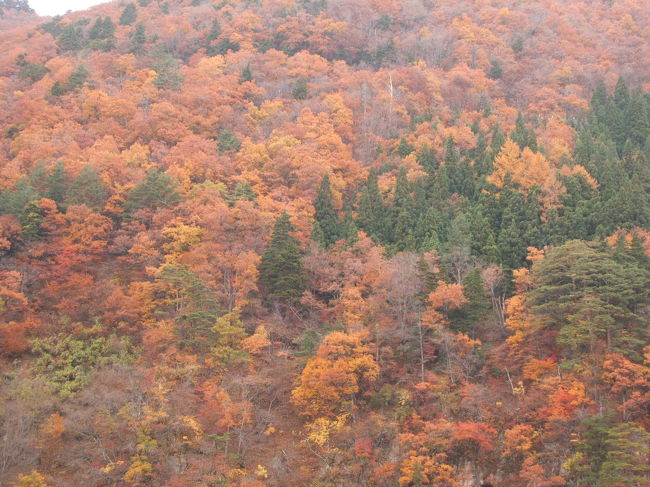 秋の飛び石連休を利用して、南木曽、飛騨地方をドライブ旅行した。<br />3日間の走行距離976Km