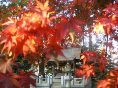 裏の神社へ紅葉散策