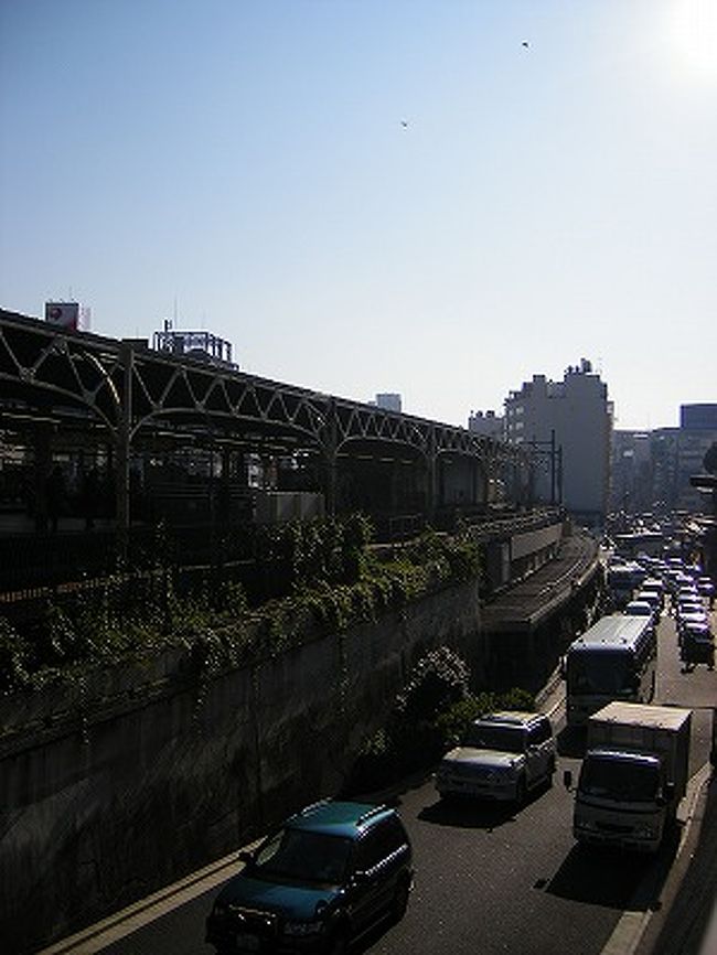 上野にちょっと野暮用のあった土曜日、あまりにも良いお天気だったので、ついでにブラブラと散策をすることに。<br /><br />上野公園は銀杏が色づいて、すごくきれいです。<br />芸術の秋に合わせて、美術館・博物館ではそれぞれ展覧会が行われていました。<br /><br />東京国立博物館：特別展　仏像（10月3日～12月3日）<br />国立西洋美術館：ベルギー王立美術館展（9月12日～12月10日）<br />東京都美術館：大エルミタージュ美術館展（10月19日～12月24日）<br />国立科学博物館：大英博物館　ミイラと古代エジプト展（10月7日～2007年2月18日）<br />上野の森美術館：ダリ回顧展（9月23日～2007年1月4日）<br /><br />急遽、明日終了してしまうという東京国立博物館 平成館「特別展　仏像」を見ることにしました。<br /><br />