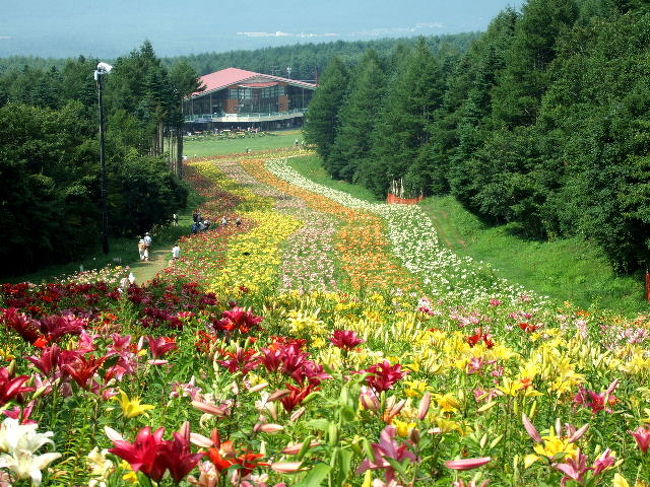 ゆり園 鳴沢 山梨県 の旅行記 ブログ By ミモザさん フォートラベル