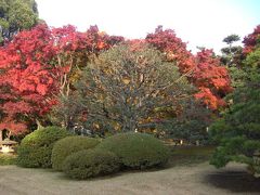 六義園の紅葉