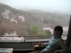 [2006年04月] 桜満開の奈良へ