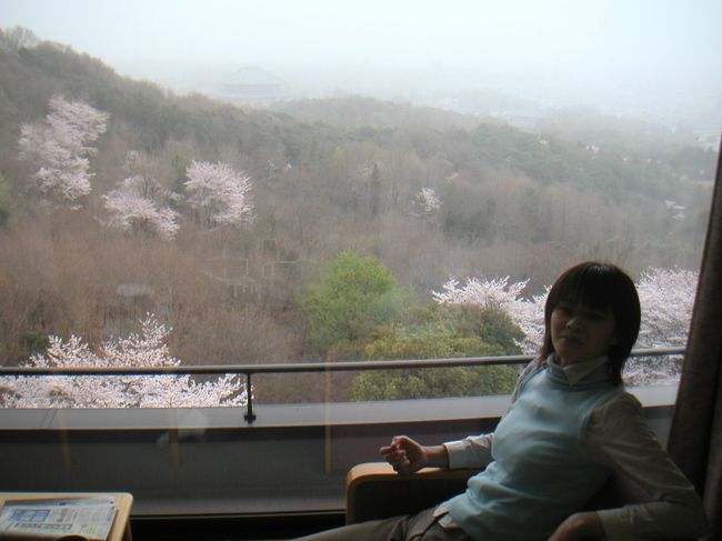 １０年ほど前に友達と泊まった旅館の料理がもう一度食べたくて、桜の満開時期をねらって予約をとりました。<br />ねらいは的中。ピンク色の奈良路を楽しみました。