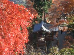 善峯寺で紅葉を楽しみました