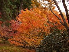 *京都府　【大原三千院・紅葉】　２００６*