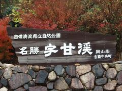 紅葉を探して　～宇甘渓～　岡山県吉備中央町