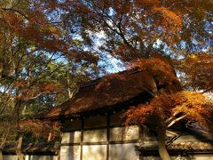 2006 晩秋の京都で紅葉狩り１　下鴨神社編