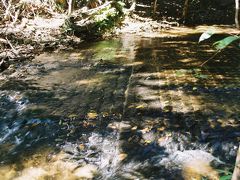 04. Kbal Spean(クバール・スピアン)とBanteay Srei(バンテアイ・スレイ)