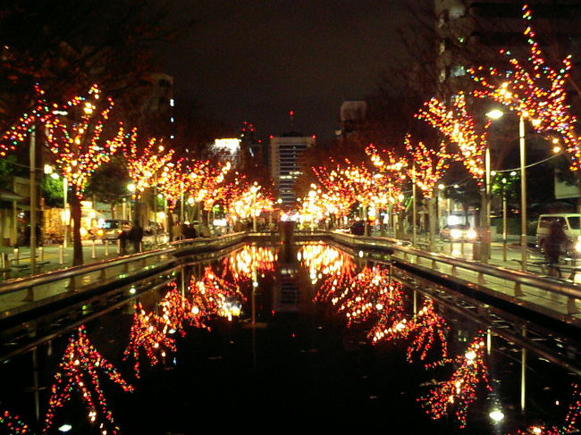 夕方16時から映画「007カジノ・ロワイヤル」を観に出掛けてきた。<br />帰りはすっかり暗くなったので青葉公園の夜景はどうかな？と歩いてみた。<br />今年のライトアップはいつもよりいいんじゃない。<br />もちろん東京や横浜、神戸などのライトアップにはとうていかなわないけれど、静岡にしてはけっこういけてます。