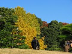 師走深川散歩　清澄庭園ー?