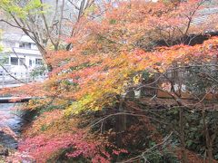 京都紅葉紀行♪大原・清水編