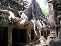カンボジア・アンコール遺跡群観光
