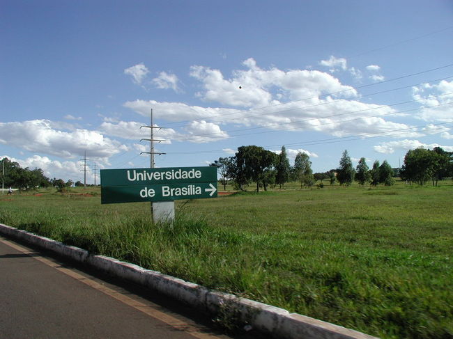 ブラジルの首都である計画都市ブラジリア。そこにあるブラジル連邦大学での仕事。広大なキャンパスでの移動には自転車か車がないと容易に隣の建物へ行けない。さもなくば、こんな草原を歩いていく。