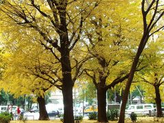 紅葉を探して　芝公園