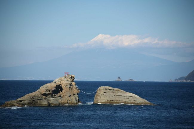 西伊豆を海岸沿いに南下しました。<br />用事を済ませてから休憩時に写真を…。<br />雲見の海岸近くに車を止めて近くをウロウロしました。