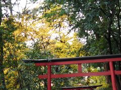 上賀茂神社参拝?