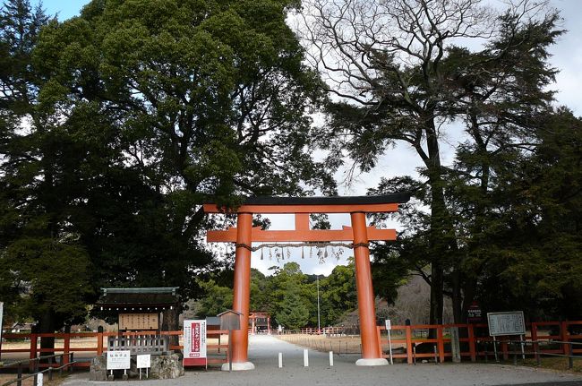 京都にドライブ旅してきました。<br />上賀茂神社→下鴨神社→仁和寺→高山寺<br /><br />上賀茂神社<br />　下鴨神社と並んで京都でも最も古い神社の一つです。この地を支配していた豪族、賀茂氏の氏神を祀ったのが起こりで、7世紀後半の天武天皇の時代に社殿が造営されました。下鴨神社の祭神･玉依姫命(たまよりひめのみこと)の子、賀茂別雷神が祀られており、正式には、賀茂別雷神社(かもわけいかづちじんじゃ)といいます。また、雷神を祀ることから、厄除けの信仰を集めています。 御物忌川と御手洗川が流れる複雑な地形を巧みに生かして社殿が厳かに建ち並んでいます。左右に回廊をめぐらした朱塗りの楼門が立っており、その門の中に入ると三間社流造りで共に国宝の本殿と権殿の建物があります。また社殿のほとんどが重要文化財の指定を受けています。<br />