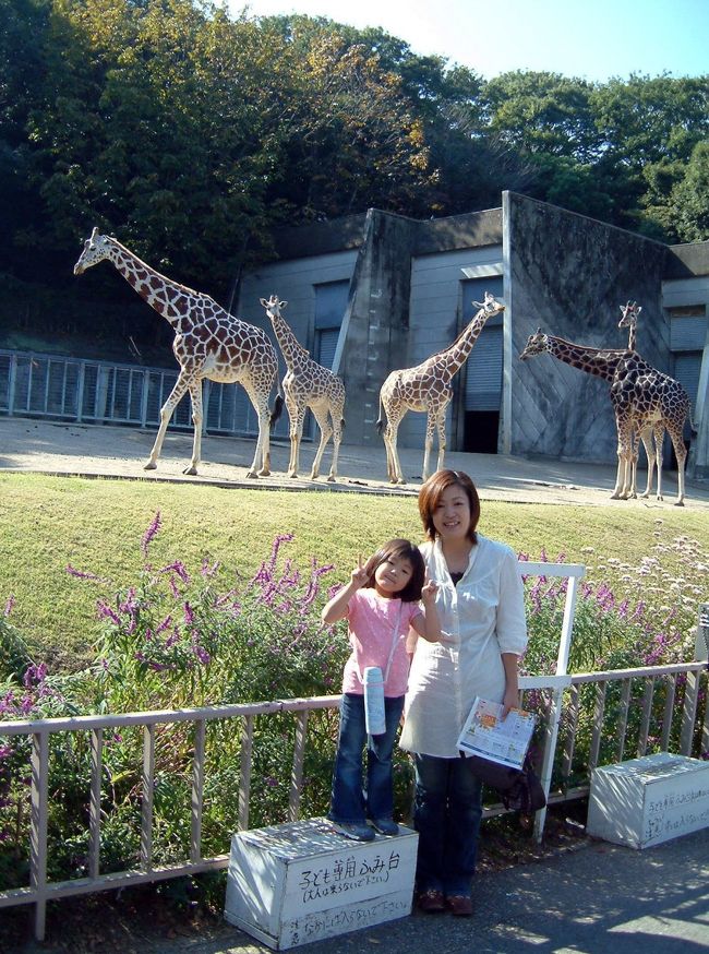 　１５年ぶりぐらいの名古屋東山動物園、娘の美砂子と孫の寧音（ねいね、４歳）のお供である。<br />　表ゲート横の駐車場は満車。植物園横の駐車場へ車を置いて、動物園の裏門から入っていった。<br /><br />　皆さんも　どうぞご一緒に　久しぶりの動物園訪問の気分を味わって下さい。