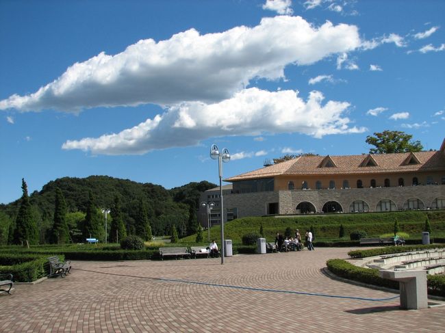 秋晴れに丁度学園祭がありキャンパスを訪ねたところ、今頃の大学のキャンパスって宮殿の様ですね、本当に抜けるような青空で、富士山も見えました。学園祭の揚げたこ焼きをたべて、若者の熱気を貰って元気になりました。