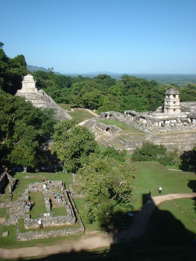どっちの遺跡がスゴイか？<br /><br />  ある宿で議論になった。メキシコのパレンケ遺跡とグアテマラのティカル遺跡。どちらもマヤ文明を代表する遺跡だが、国境を挟んで比較的近くにあるため両方行っている観光客が多い。<br /><br />「何といってもティカルでしょう。あの雄大さは他の遺跡を圧倒しています。」という人もいれば、<br /><br />「パレンケの装飾は見事でしょう。ティカルなんてデカイだけで何にも残っていないじゃん。」と対抗する人もいる。<br /><br />「札幌の味噌ラーメンと東京の醤油ラーメンのどっちが美味しいか？」とまったく同じ議論で個人差があり、答えはでなさそうだ。<br /><br />  僕はティカル派だ。遺跡が云々でなく、たまたま偶然知り合った若い日本人女性と一緒に見学することができたからだ。今思い返せば、あのドデカイ遺跡のなかで初めて知り合った女性と二人きりでデートしていたわけで。地図を見ながら、アトラクションを巡るように、遺跡制覇を楽しんでいた。「まるで宮崎アニメのなかを探検しているようだね」なんて会話をしながら。あぁ、あの場だけで別れてしまって寂しい限りだ。遺跡の詳細なんて覚えちゃいない。<br /><br />  そんなことをひとり回想していたら、突然「あなたはどっち？」と聞かれた。そうだな、僕は『どっちの○○ショー』派より、『恋する☆ハニカミ』派だよ。また誰かと遺跡で巡り合わないかなぁ。