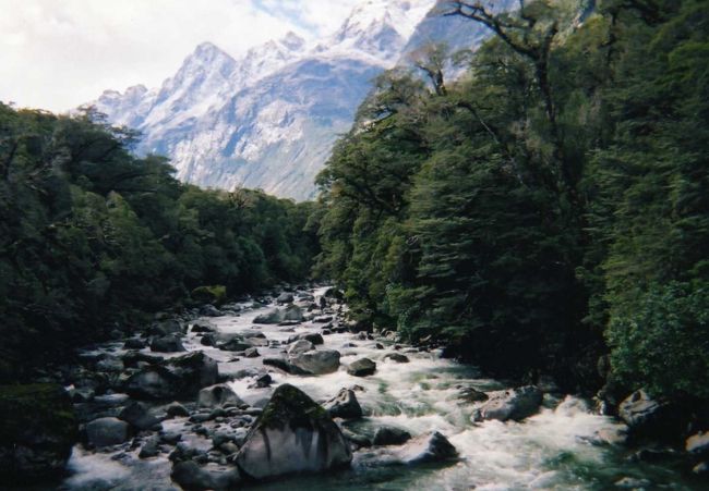 大学に入って初めての海外だったニュージーランド。使い捨てカメラだったので今まで旅行記を作っていませんでしたがプリンターでスキャナーしてパソコンに落とせることに今更気付いたのでやってみました。
