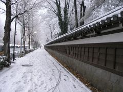 小石川後楽園の雪景色