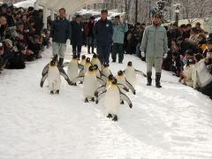 2007.01.02旭山動物園－その１（出発～ペンギンのお散歩）