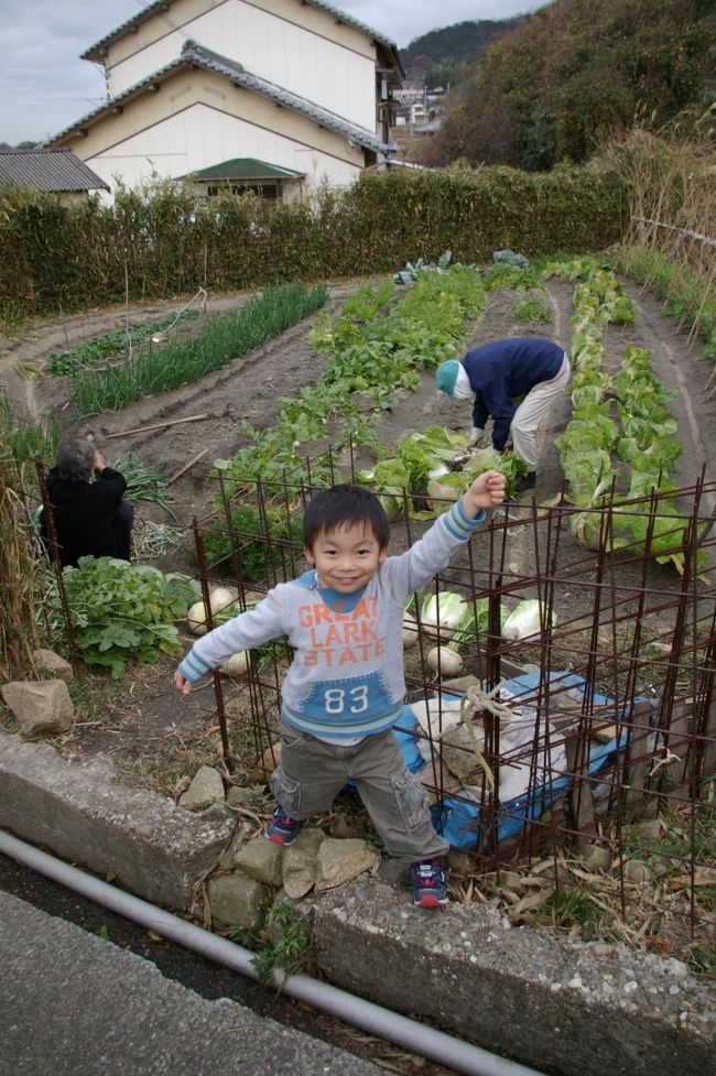 元旦は毎年父の実家へ。<br />おじいちゃんの家には、私たち一家と<br />叔父一家が集います。<br /><br />両家がおせち料理を持ち寄って<br /><br />おじいちゃんは親戚から送られたブリ・イカ・あわびをさばいて、木の箱に入ったたくさんのおもちを用意して待っています。<br /><br />ほのぼのとしたいつもの風景。<br /><br />数年前に従姉が結婚してからは、だんなさんと子供達も一緒に過ごしてます。