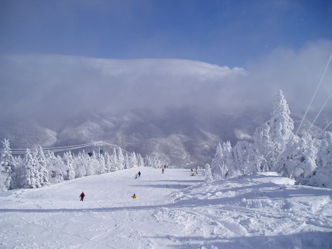 年末年始恒例の日帰りスキーです。12月30日朝5時半過ぎ東京を出発し、途中、関越道高坂Ｐ付近・花園ＩＣ付近・上信越道須坂長野東ＩＣ付近の渋滞を辛抱し、10時30分頃焼額山スキー場に到着しました。雪不足の今シーズンですが、前日からの寒波で30〜40センチ程度雪が降ったようです。絶好のコンディションでした。