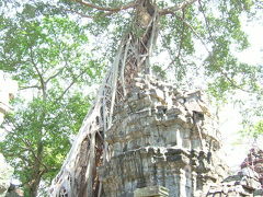 2007.1【ｶﾝﾎﾞｼﾞｱ2】